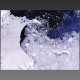 Antarctique, 2000