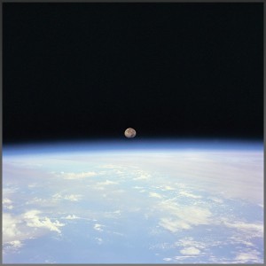 http://www.globe-collection.fr/img/p/265-346-thickbox.jpg