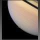 Rhea et Saturne en arrière plan