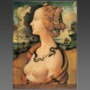 Piero Di Cosimo 1462-1521